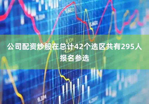 公司配资炒股在总计42个选区共有295人报名参选