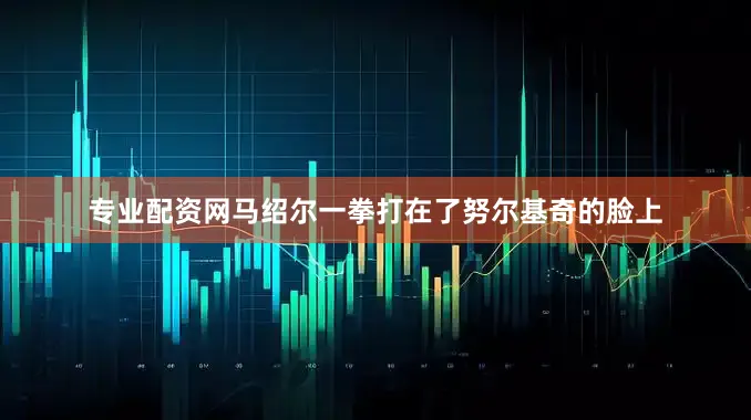 专业配资网马绍尔一拳打在了努尔基奇的脸上